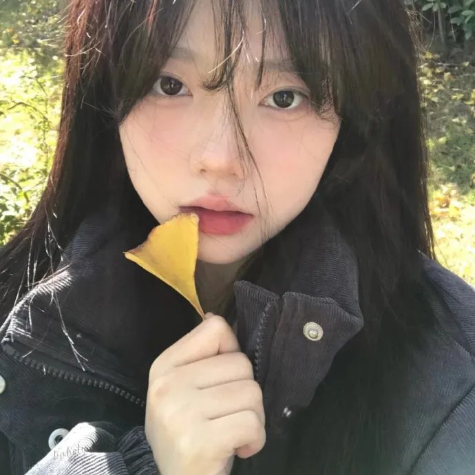 热带往事